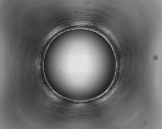 X0000102341017200808011136