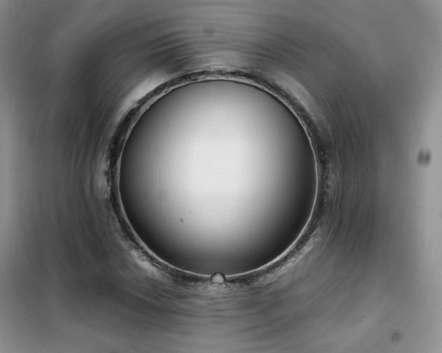 X0000102341018200808011136