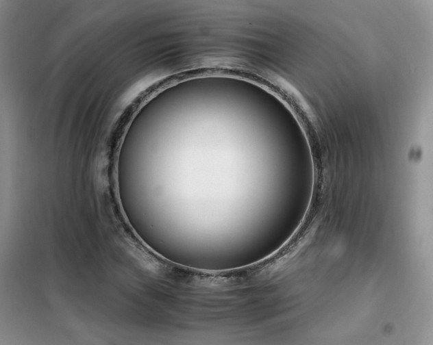 X0000102341019200808011136