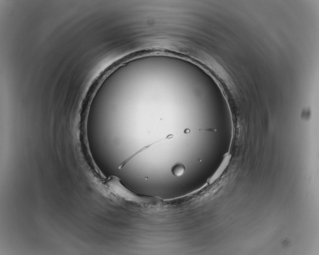 X0000102341020200808011136