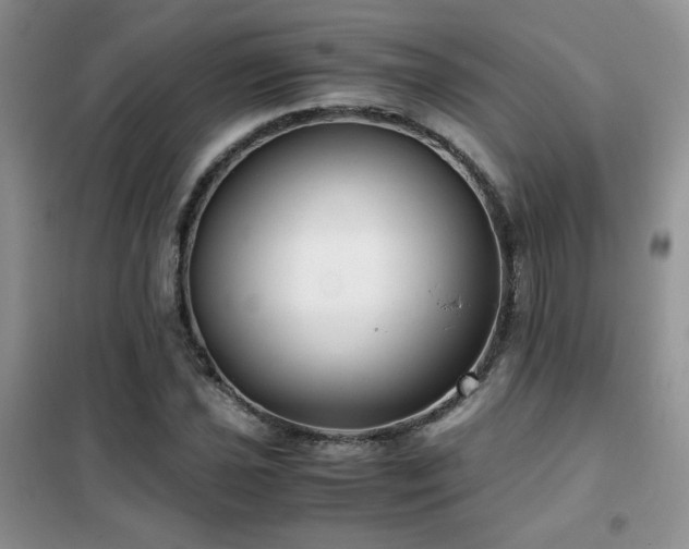 X0000102341021200808011136