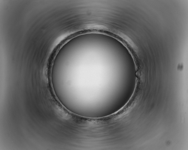 X0000102341022200808011136