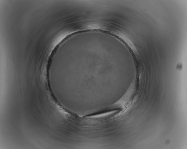 X0000102341023200808011136