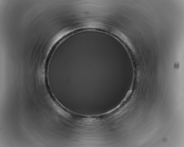 X0000102341024200808011136