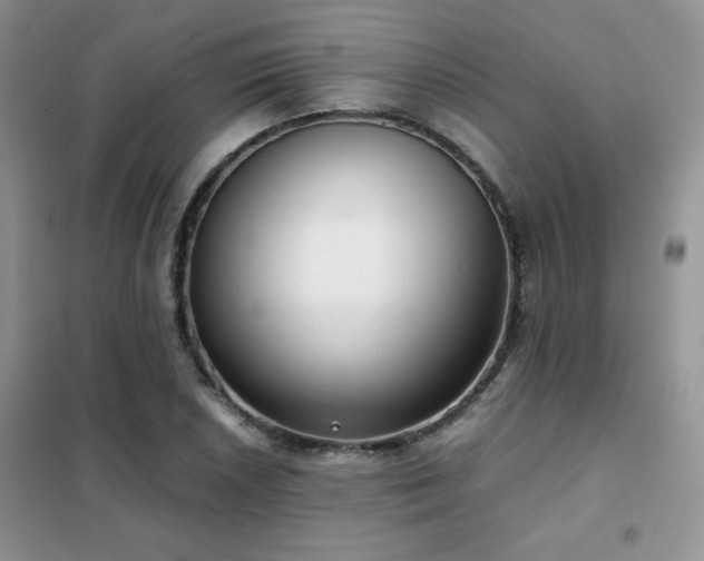 X0000102341026200808011136