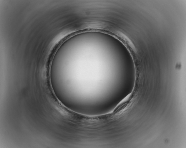 X0000102341027200808011136