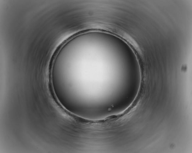 X0000102341028200808011136