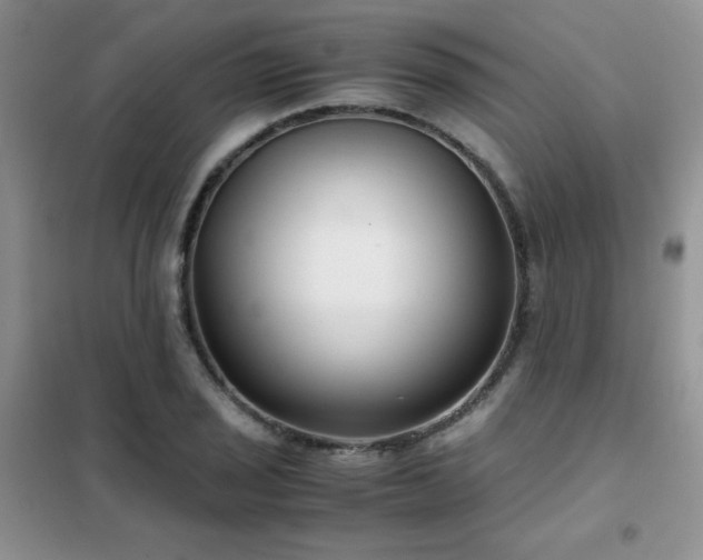 X0000102341029200808011136