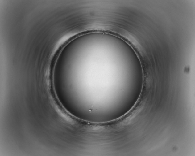 X0000102341030200808011136