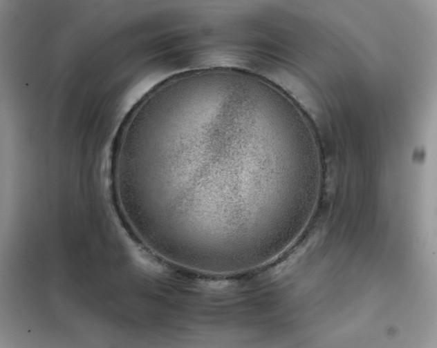 X0000102341031200808011136