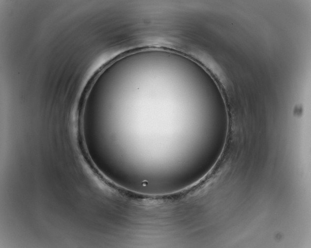 X0000102341032200808011136