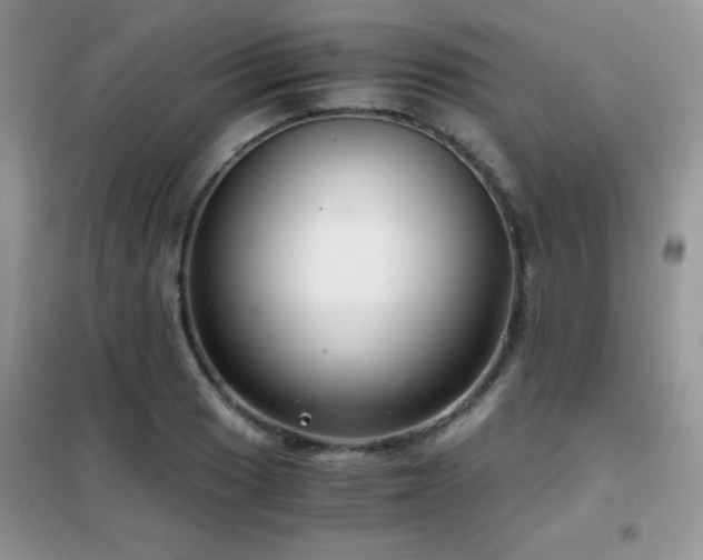 X0000102341033200808011136