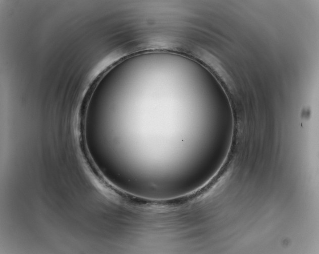 X0000102341034200808011136