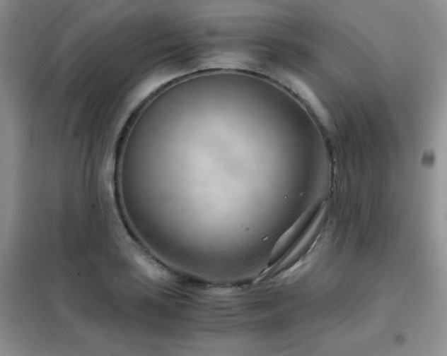 X0000102341035200808011136