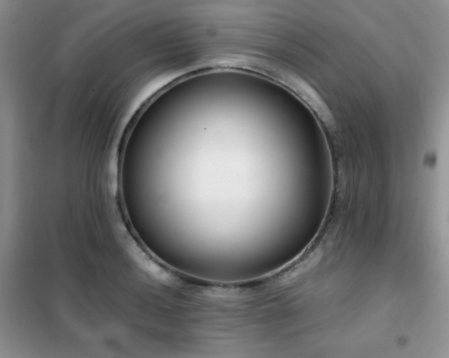 X0000102341036200808011136