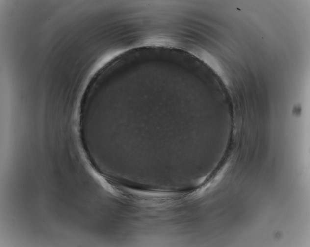 X0000102341037200808011136