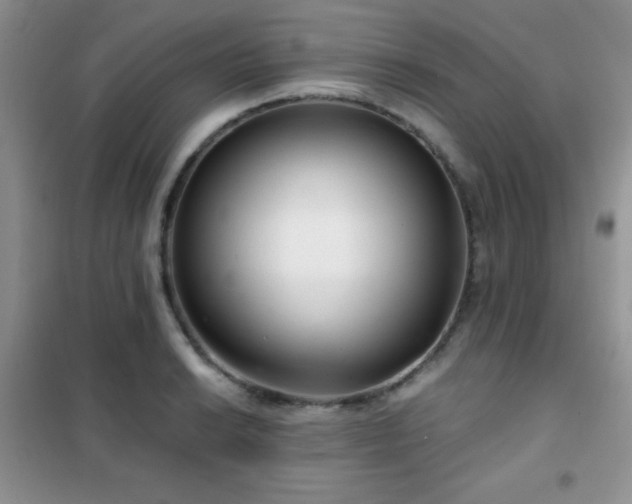 X0000102341038200808011136