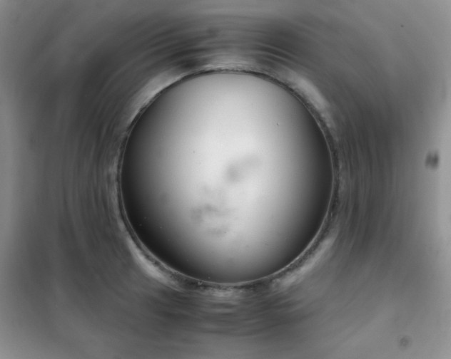 X0000102341041200808011136