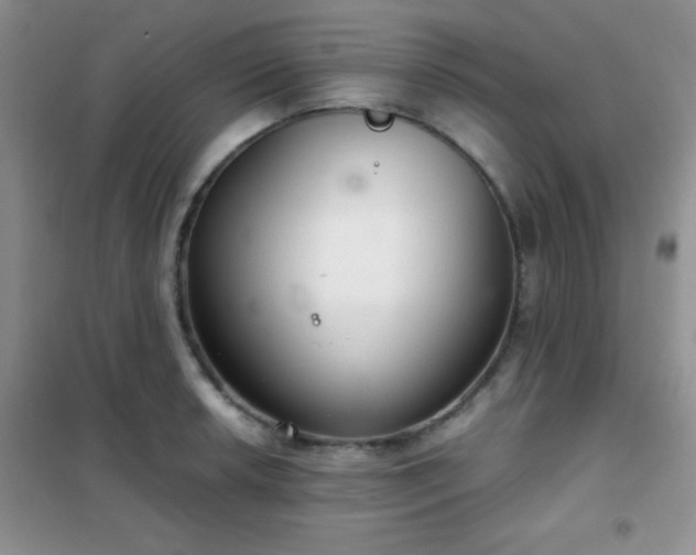 X0000102341042200808011136