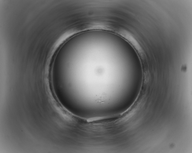 X0000102341043200808011136