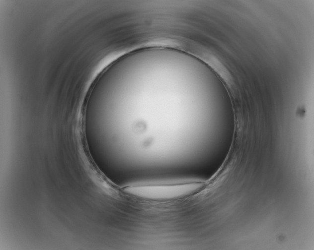 X0000102341044200808011136