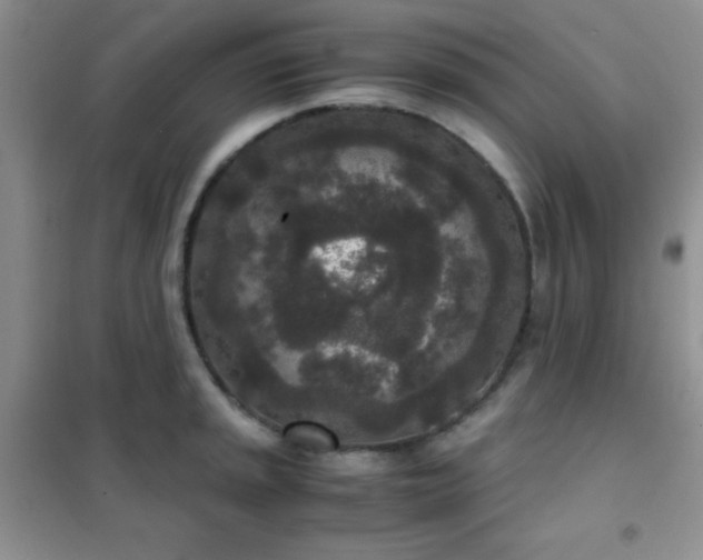 X0000102341045200808011136