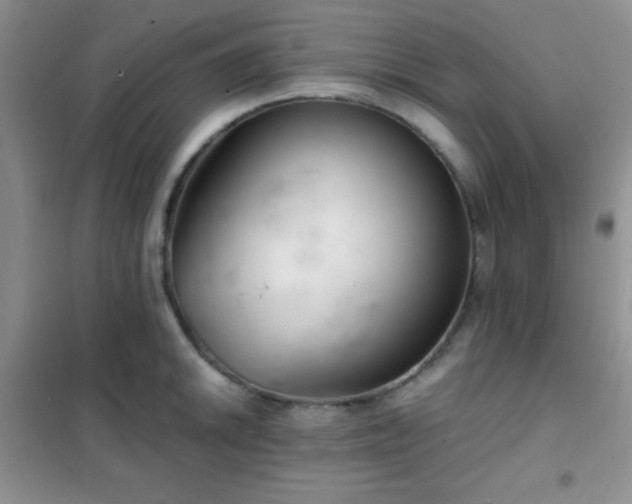 X0000102341046200808011136