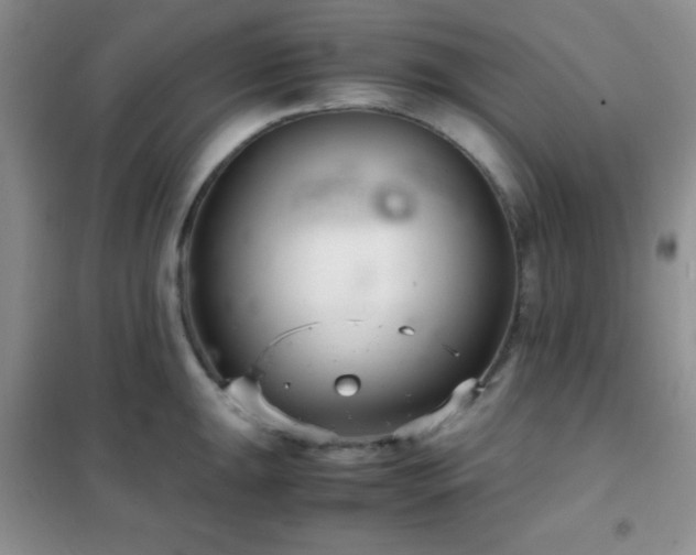 X0000102341047200808011136