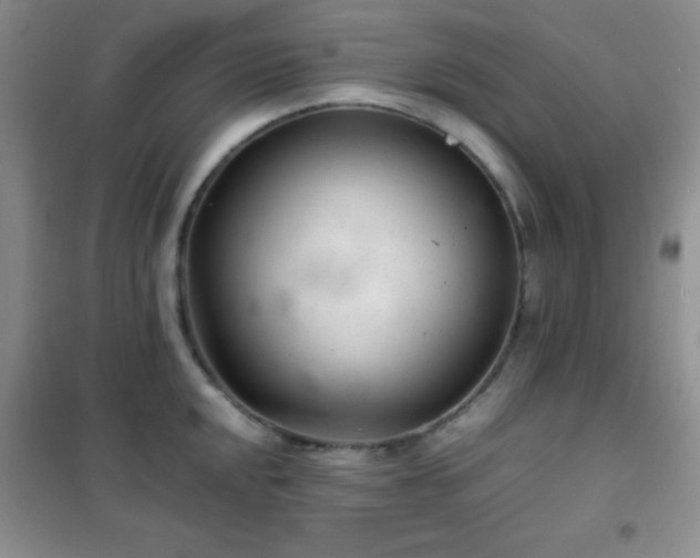 X0000102341048200808011136