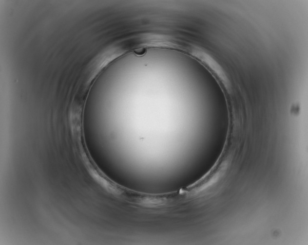 X0000102341049200808011136