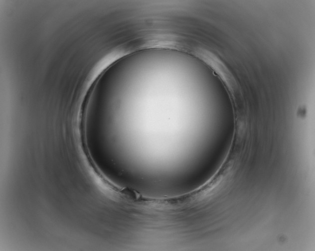 X0000102341050200808011136