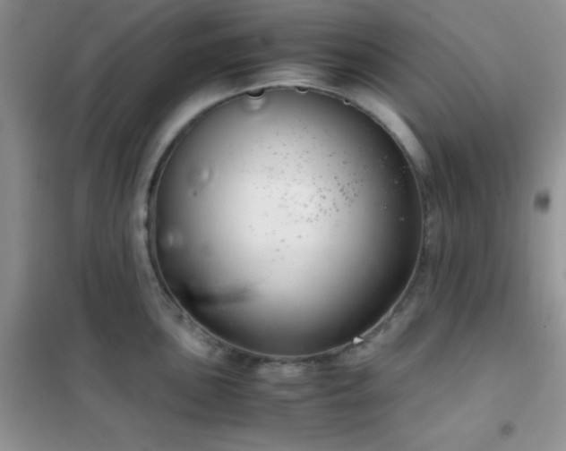 X0000102341051200808011136