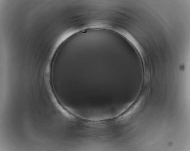 X0000102341053200808011136