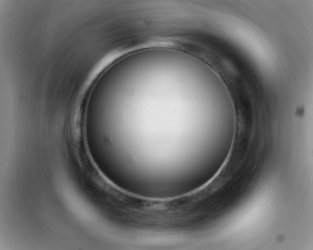 X0000102341054200808011136