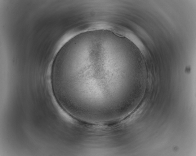 X0000102341055200808011136