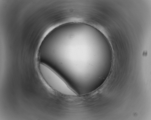 X0000102341056200808011136