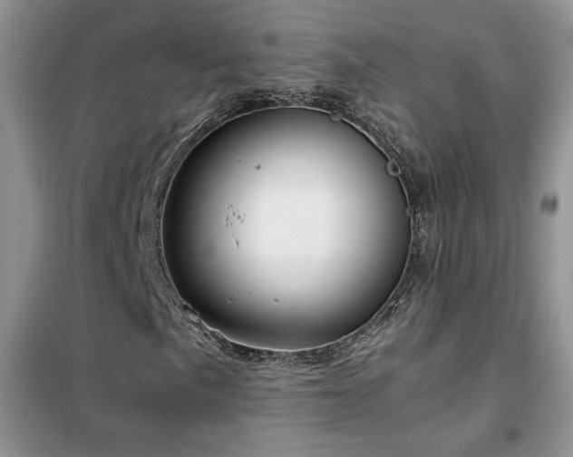 X0000102341057200808011135