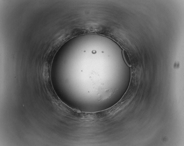 X0000102341058200808011135