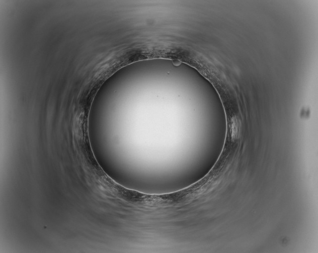 X0000102341059200808011135