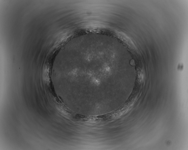 X0000102341060200808011135