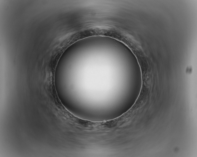 X0000102341061200808011135