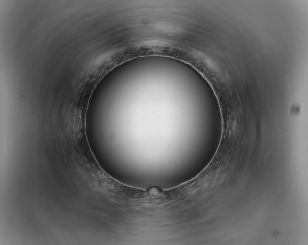 X0000102341062200808011135