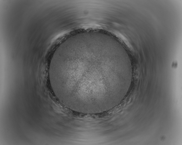 X0000102341063200808011135