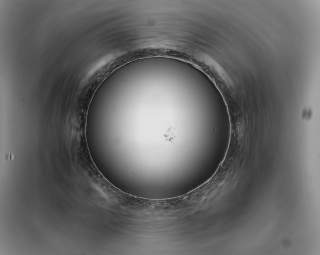 X0000102341064200808011135