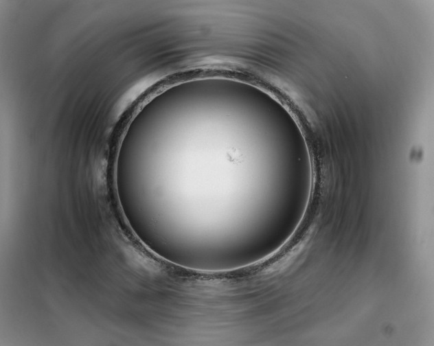 X0000102341066200808011135