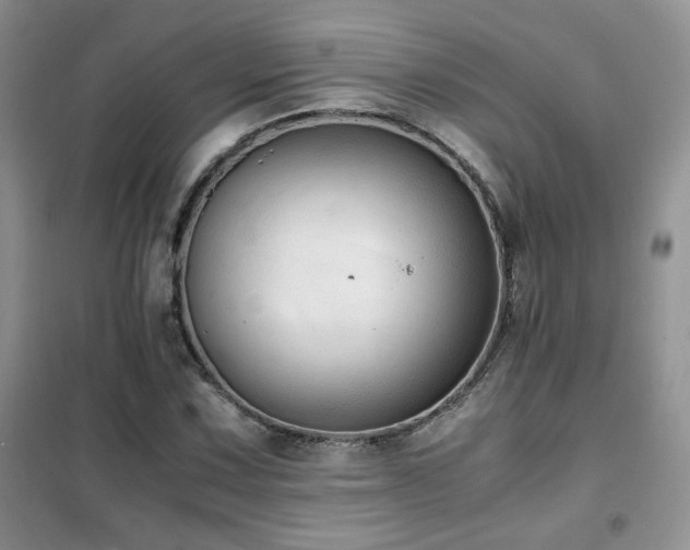 X0000102341067200808011135