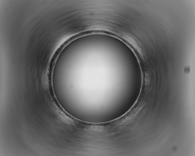 X0000102341068200808011135