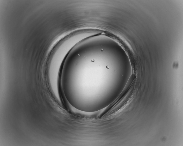 X0000102341069200808011135