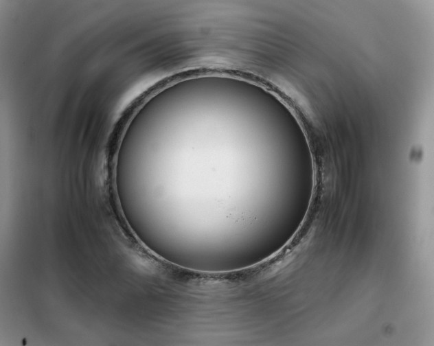 X0000102341070200808011135