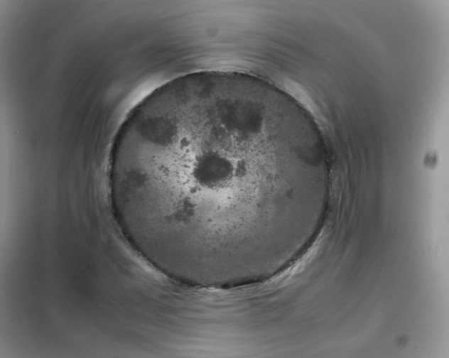 X0000102341071200808011135